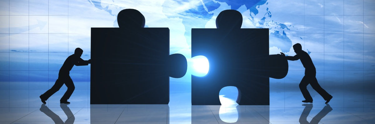Understanding the Roles: KM System vs. KM Officer in Organizational Kn ...