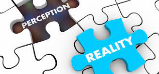 Perception and Reality: Understanding Diverse Roles in Shaping KM Solutions