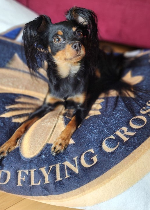 DFC Society Challenge Coin Pet Bed